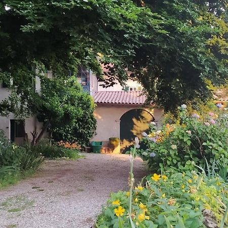 Casale Del Cantico Brenta Екстериор снимка