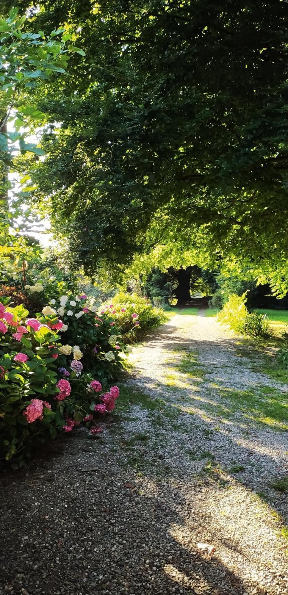 Casale Del Cantico Brenta Екстериор снимка